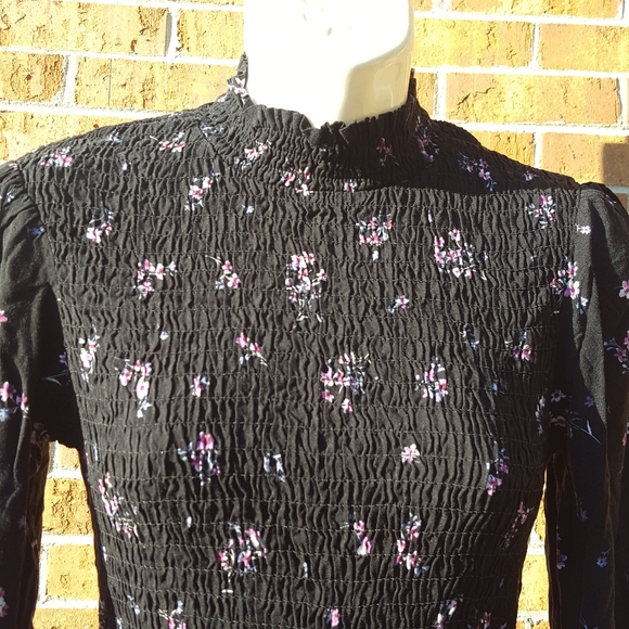 Wild Fable - Picture 3 of 8